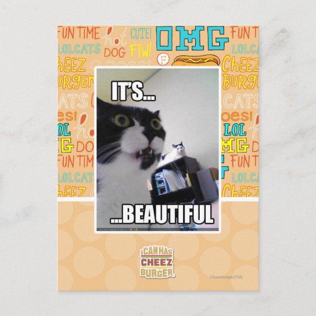 It's Beautiful Postcard (Front)