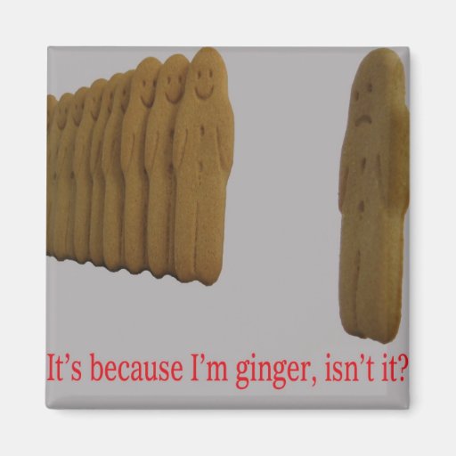 Image of It's because I'm ginger, isn't it ? - Magnet