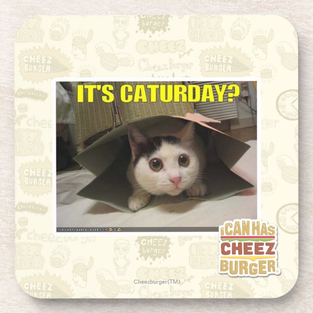 It's Caturday? Coaster (Front)