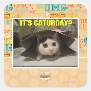 It's Caturday? Square Sticker