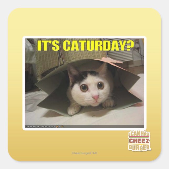 It's Caturday? Square Sticker (Front)