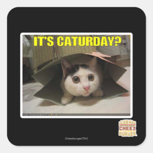 It's Caturday? Square Sticker