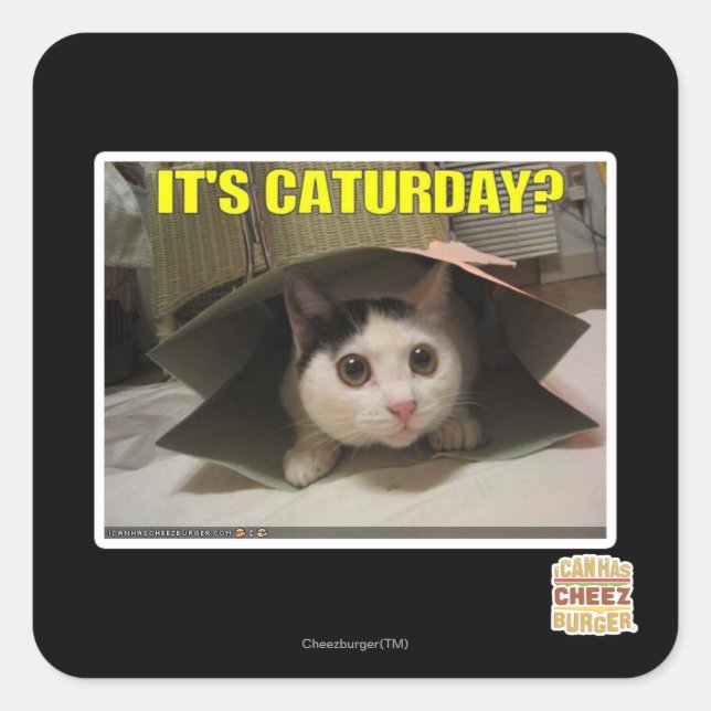 It's Caturday? Square Sticker (Front)