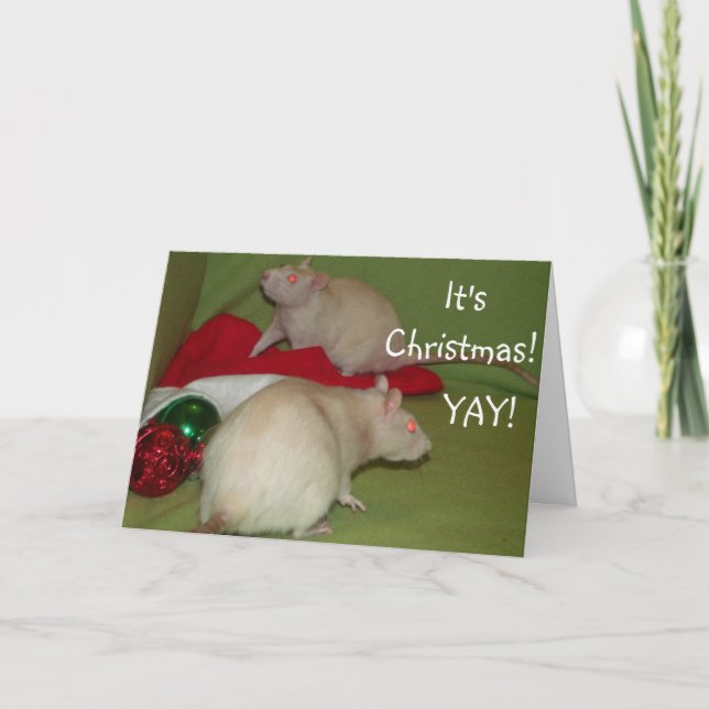 It's Christmas! card (Front)