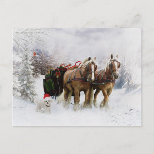 It's Christmas Holiday Postcard