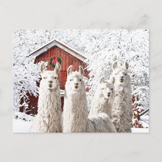 "It's Christmas!" Postcard (Front)