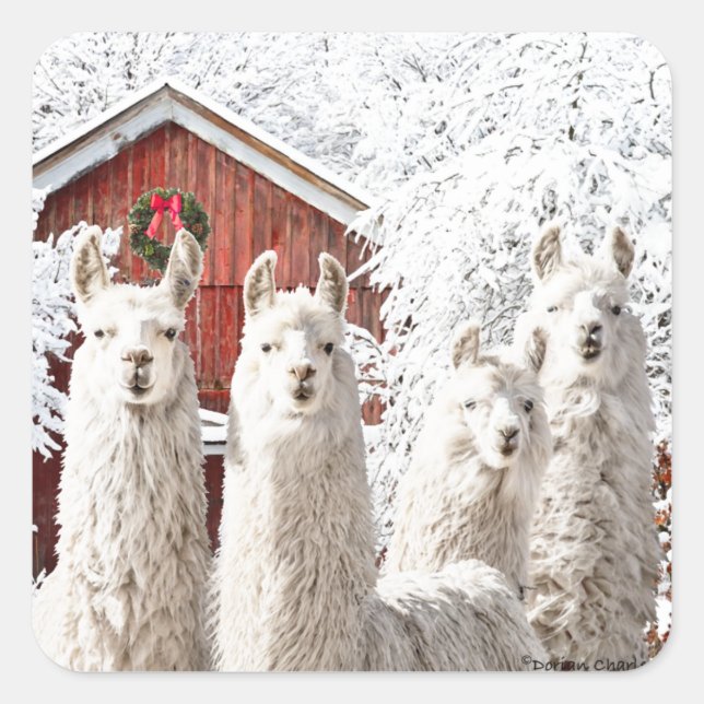 "It's Christmas!" Stickers (Front)