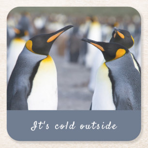 It's cold outside King Penguin photo with text Square Paper Coaster