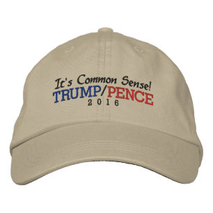 It's Common Sense Trump Pence 2016 Embroidered Hat