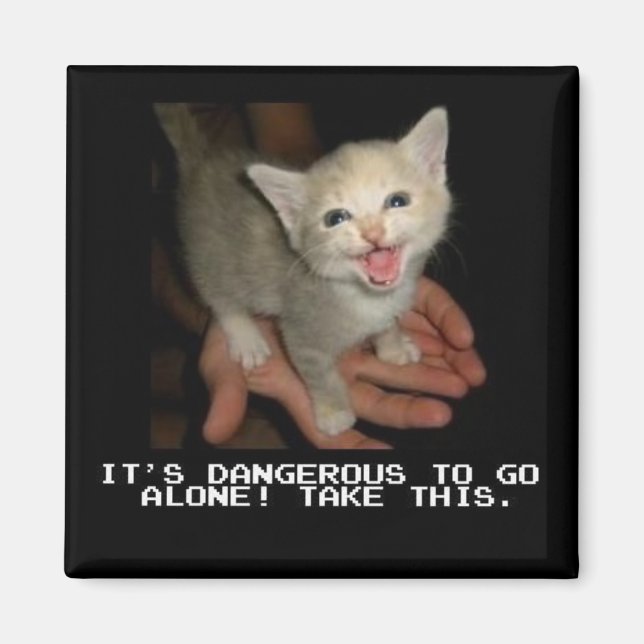 It's Dangerous To Go Alone Magnet (Front)