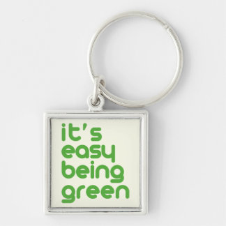 It's easy being green key ring
