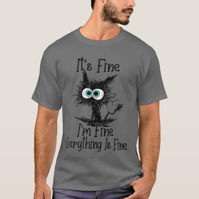 Its Fine Im Fine Everything Is Fine Funny cat frie T-Shirt (Front)