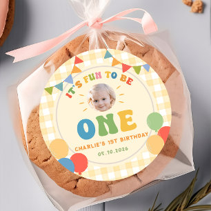 It's Fun To Be One Colourful Birthday Party Sticke Classic Round Sticker