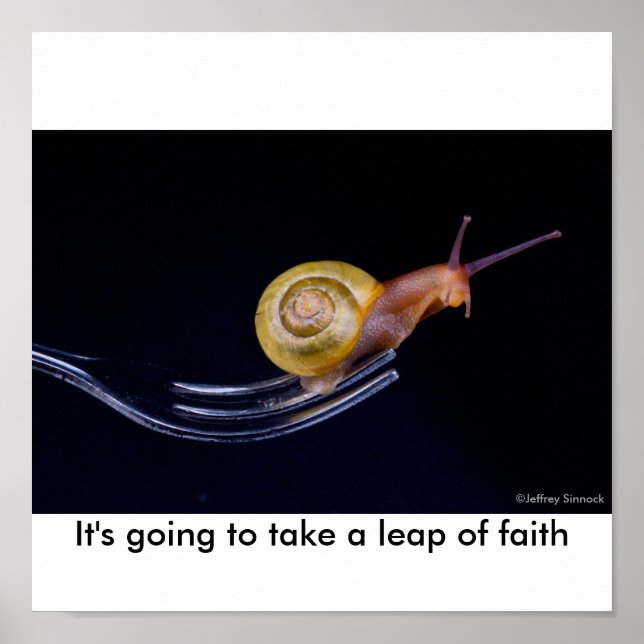 It's going to take a leap of ... poster (Front)
