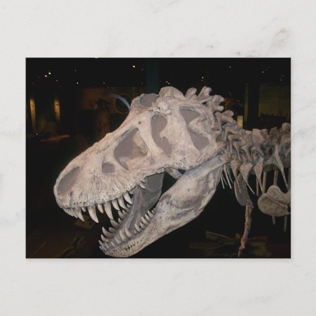 It's gonna eat you!!! postcard (Front)