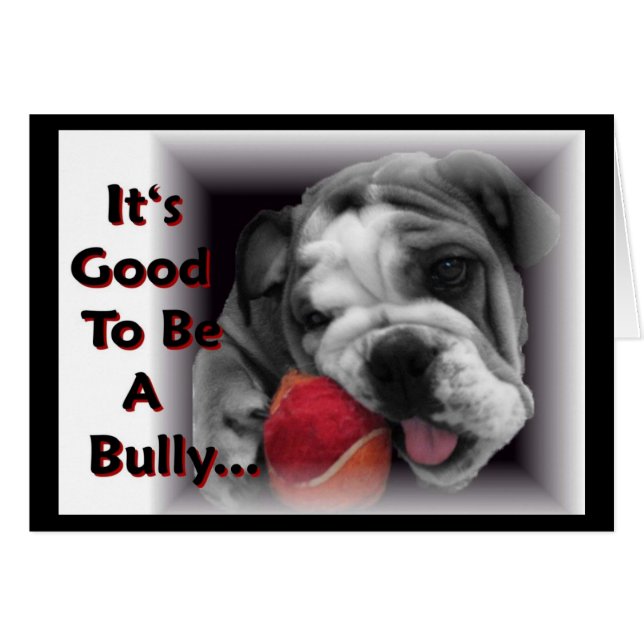 it's good to be a bully (Front Horizontal)