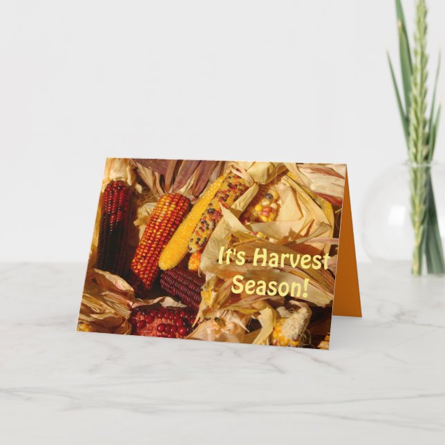 It's Harvest Season, Pretty Autumn Scene Greeting Card (Front)