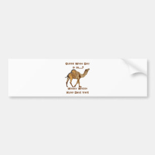 Its Hump Day Bumper Sticker