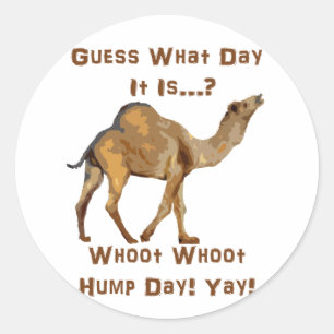 Its Hump Day Classic Round Sticker
