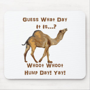 Its Hump Day Mouse Mat