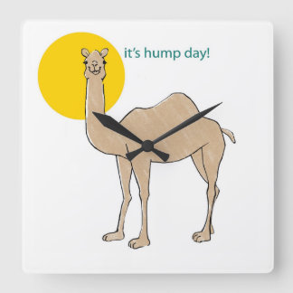 It's hump day! square wall clock