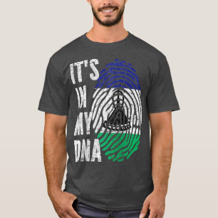 ITS IN MY DNA Lesotho Flag Basotho Raglan Baseball T-Shirt