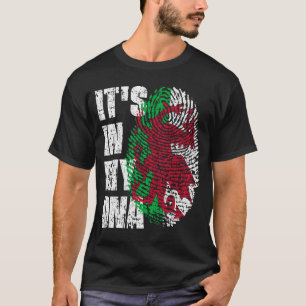 IT'S IN MY DNA Wales Flag Welsh T-Shirt