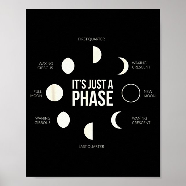 It's Just A Phase Lunar Phases New Moon Earth Hemi Poster (Front)