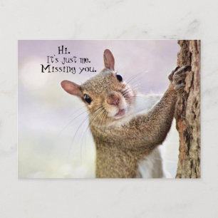 It's Just Me--Missing You Postcard