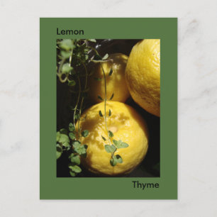It's Lemon Thyme. Postcard