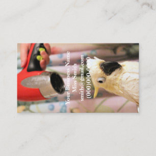 It's like blow drying a frog with feathers! business card