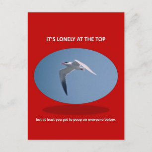 its-lonely-at-the-top-but-at-least-you-get-to-poop postcard