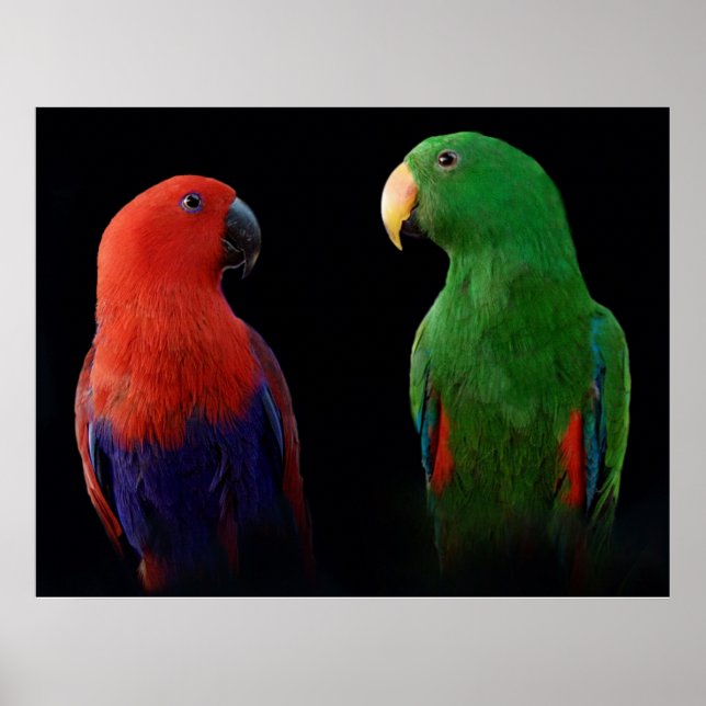 It's Love! Poster (Front)