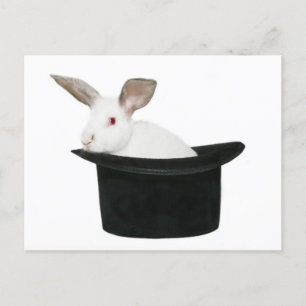 It's magic! postcard