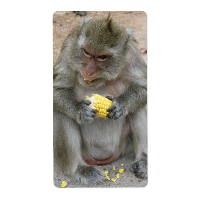 It's Mine!! ... Wild Thai Macaque Monkey (Front)