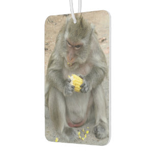 It's Mine!! ... Wild Thai Macaque Monkey Car Air Freshener