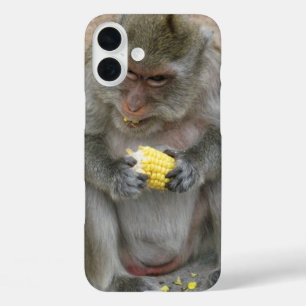 It's Mine!! ... Wild Thai Macaque Monkey iPhone 16 Plus Case
