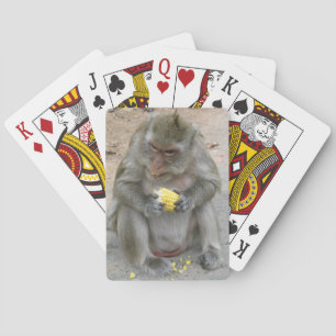 It's Mine!! ... Wild Thai Macaque Monkey Playing Cards