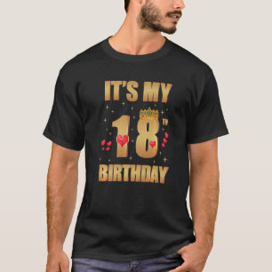 It's My 18th Birthday 18 Years Old 18th Birthday Q T-Shirt