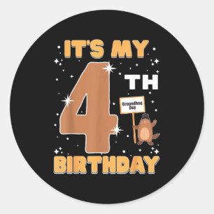 Its My 4th Birthday Groundhog Day 4 Years Old Girl Classic Round Sticker