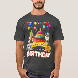 Its My Birthday Cat and Kitten Party Day Girls and T-Shirt