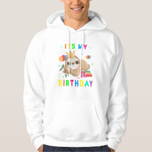 Its My Birthday Cute Sloth Birthday Party Costumes Hoodie