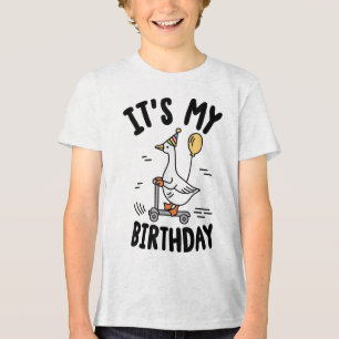 Its My Birthday Matching Funny Goose Family Women Tri-Blend Shirt