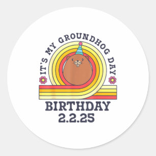 Its My Groundhog Day Birthday Party Hat Funny Retr Classic Round Sticker