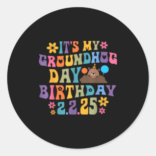 Its My Groundhog Day Birthday Party Hat Funny Retr Classic Round Sticker