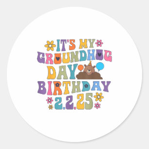 Its My Groundhog Day Birthday Party Hat Funny Retr Classic Round Sticker