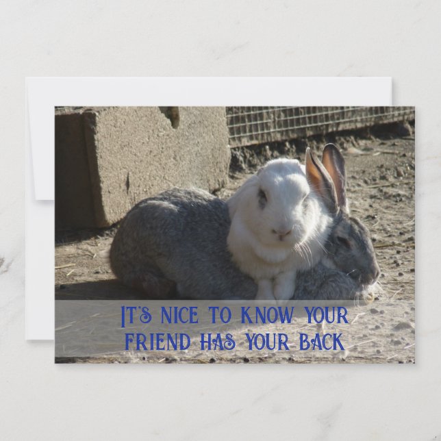 it's nice to know ... holiday card (Front)