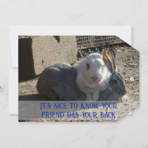 it's nice to know ... holiday card