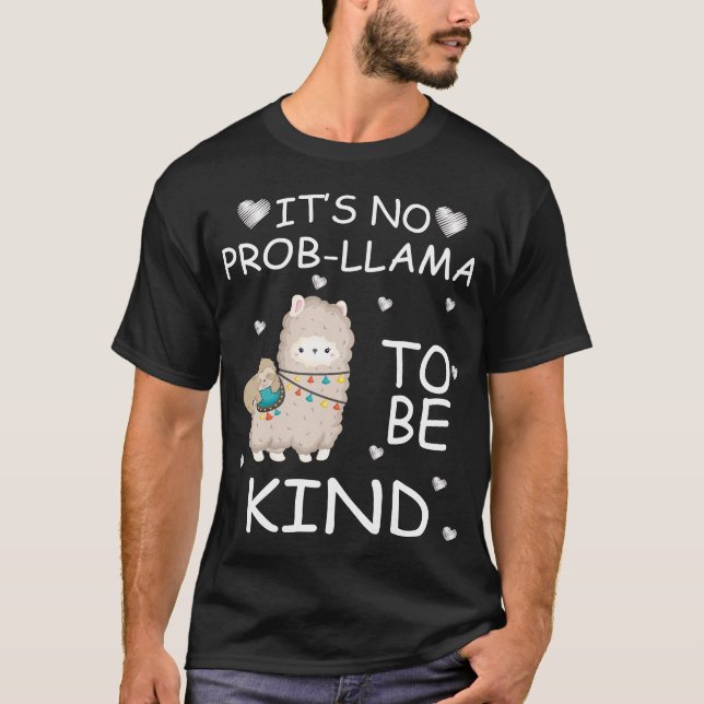 its no problema to be kind T-Shirt (Front)