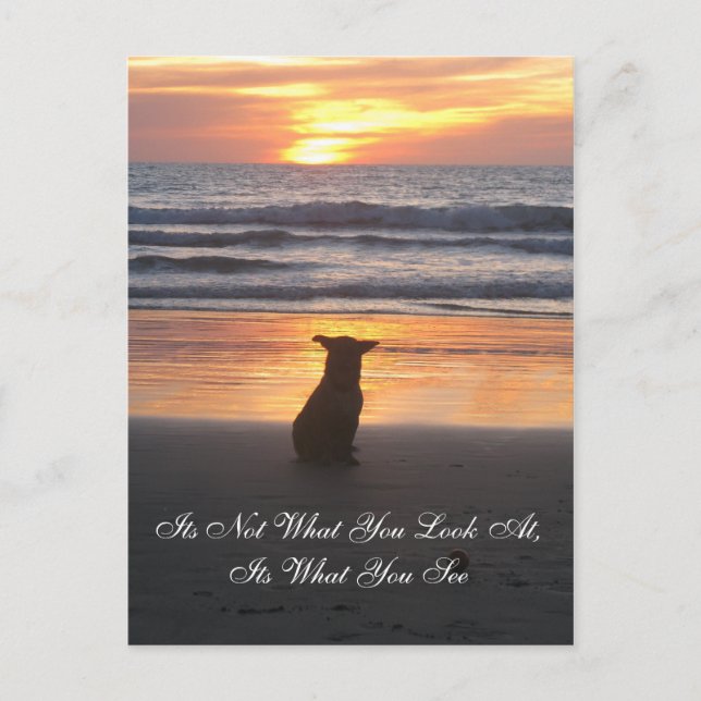 It's Not What You Look at. its What You See card (Front)